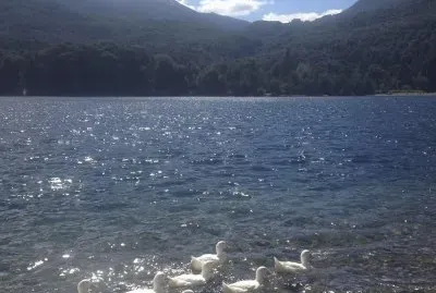 Lago Steffen. RÃ­o Negro. Argentina