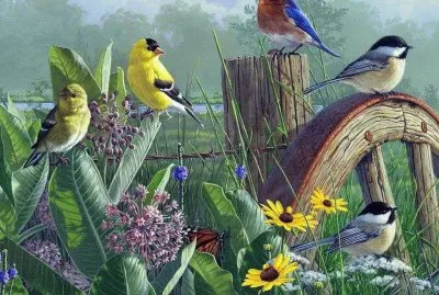 Pajaros, en pintura