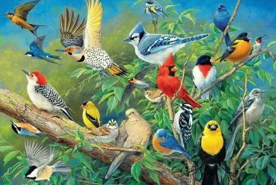 Cuadro de pajaros en pintura jigsaw puzzle