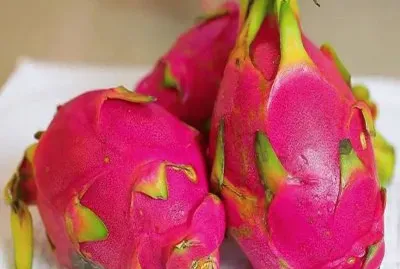 Dragon Fruit