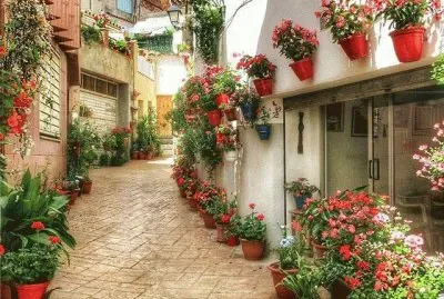 Cornudella de Montsant-Tarragona