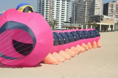 shongololo - suncoast