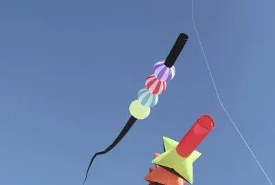 go fly a kite