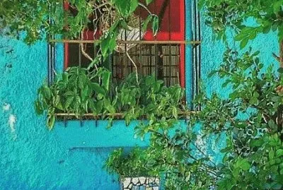 pared