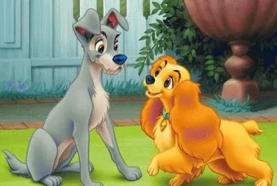 dogs