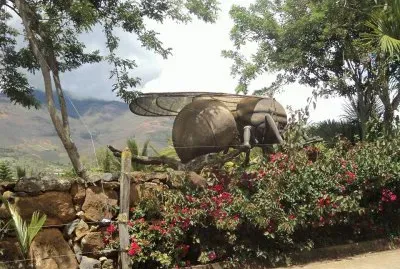 hormiga santandereana