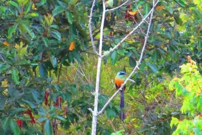 fincas con lindos paisajes