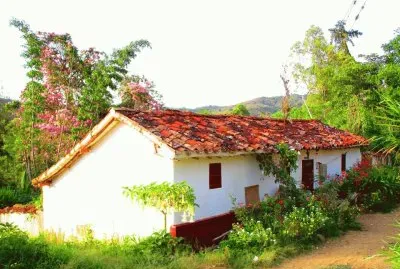 casa con jardines