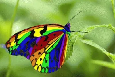 august7 jigsaw puzzle