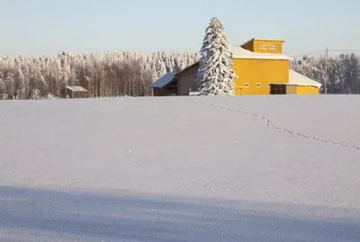 Nieve en Finlandia