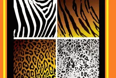 פאזל של multicolor