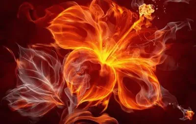 פאזל של imagens