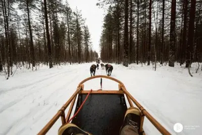 Trineo en Finlandia jigsaw puzzle