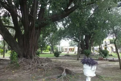 Santa Ana de los GuÃ¡caras. Corrientes. Argentina