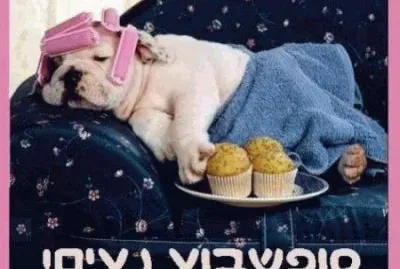 ×œ×™×™×§ jigsaw puzzle