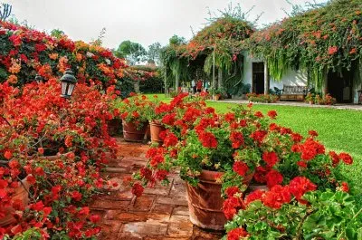 flores rojas jigsaw puzzle