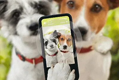 ××•×¡×£ ×©×œ×™