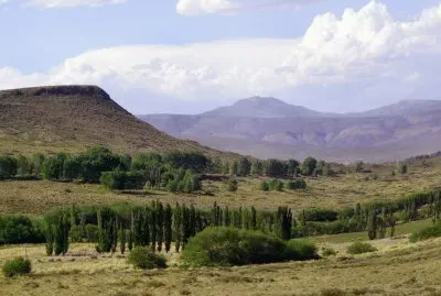 A la vera de la RN 40. NeuquÃ©n. Argentina