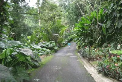 Garden Path - Guadalupe