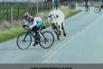 פאזל של QUIEN LLEGARA PRIMERO