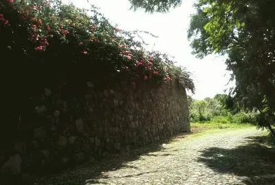 Empedrado, Jacona, MichoacÃ¡n