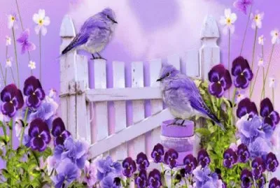 פאזל של august 18