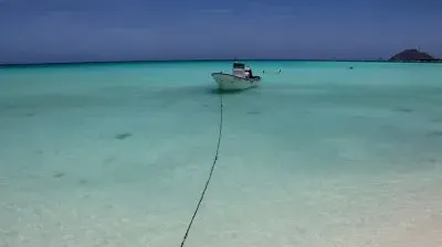 vzla