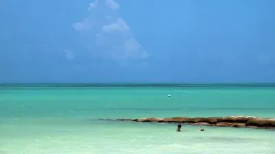 vzla