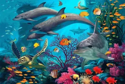oceano