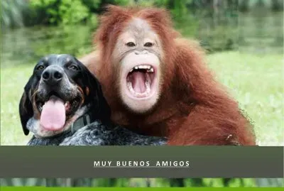 MUY BUENOS AMIGOS jigsaw puzzle