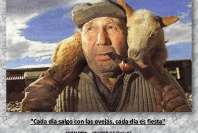 JOAN PIPA - PASTOR DE OVEJAS