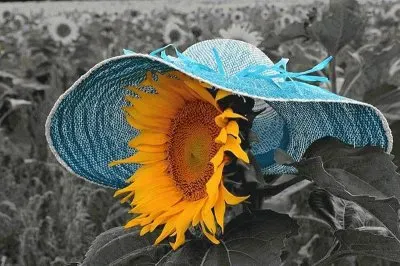 imagens jigsaw puzzle