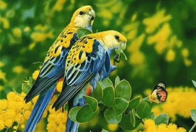 imagens jigsaw puzzle