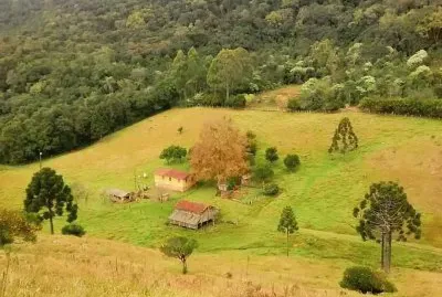 imagens