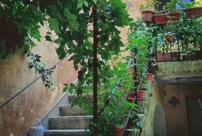Patio en Sicilia
