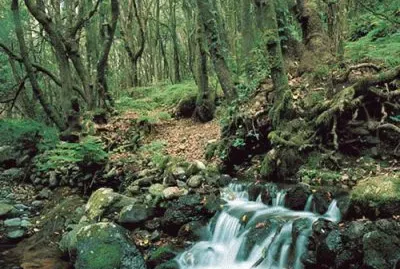 En el PN Tierra del Fuego. Argentina