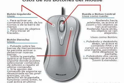 PARTES DEL MOUSE