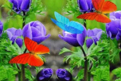 פאזל של Schmetterlinge