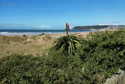 Durban Beachfront 2