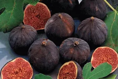 פאזל של imagens