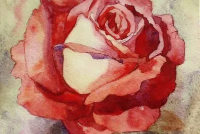 Rose Rose jigsaw puzzle