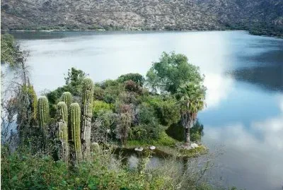 Valle FÃ©rtil. San Juan. Argentina