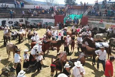 feria ganadera