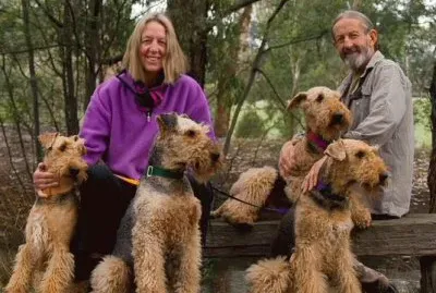 mis preferidos quiero unos de estos