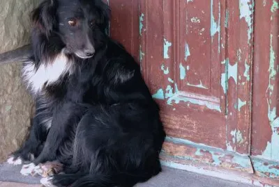 esperando jigsaw puzzle