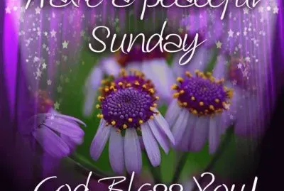 Have a Peaceful Sunday