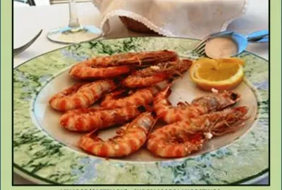 VINAROZ - SUS FAMOSOS LANGOSTINOS