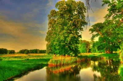 NATUREZA jigsaw puzzle