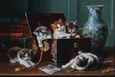 gatinhos