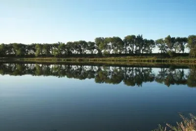 reflejos